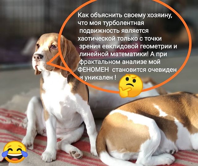 Коррекция бывает разной! Губительной и спасительной!